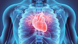 Gossypol acetate cardiovascular Gossypol acetate cardiovascular
