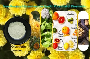 Výskumníci skúmajú potenciálnu úlohu diosmetínu v boji proti oxidačnému stresu