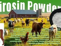 Môžu dlhodobo-účinné antibiotiká zlepšiť zdravie hospodárskych zvierat