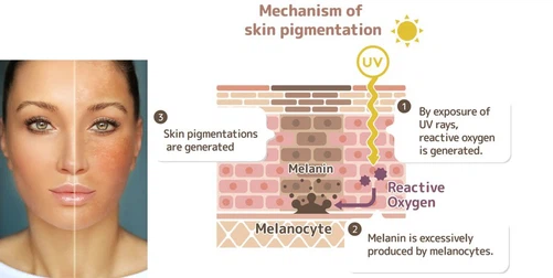 68Potassium 4-methoxysalicylate 68Potassium 4-methoxysalicylate