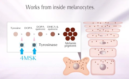 68Potassium 4-methoxysalicylate A 68Potassium 4-methoxysalicylate A